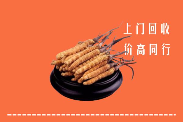 高价求购：安居回收散虫草